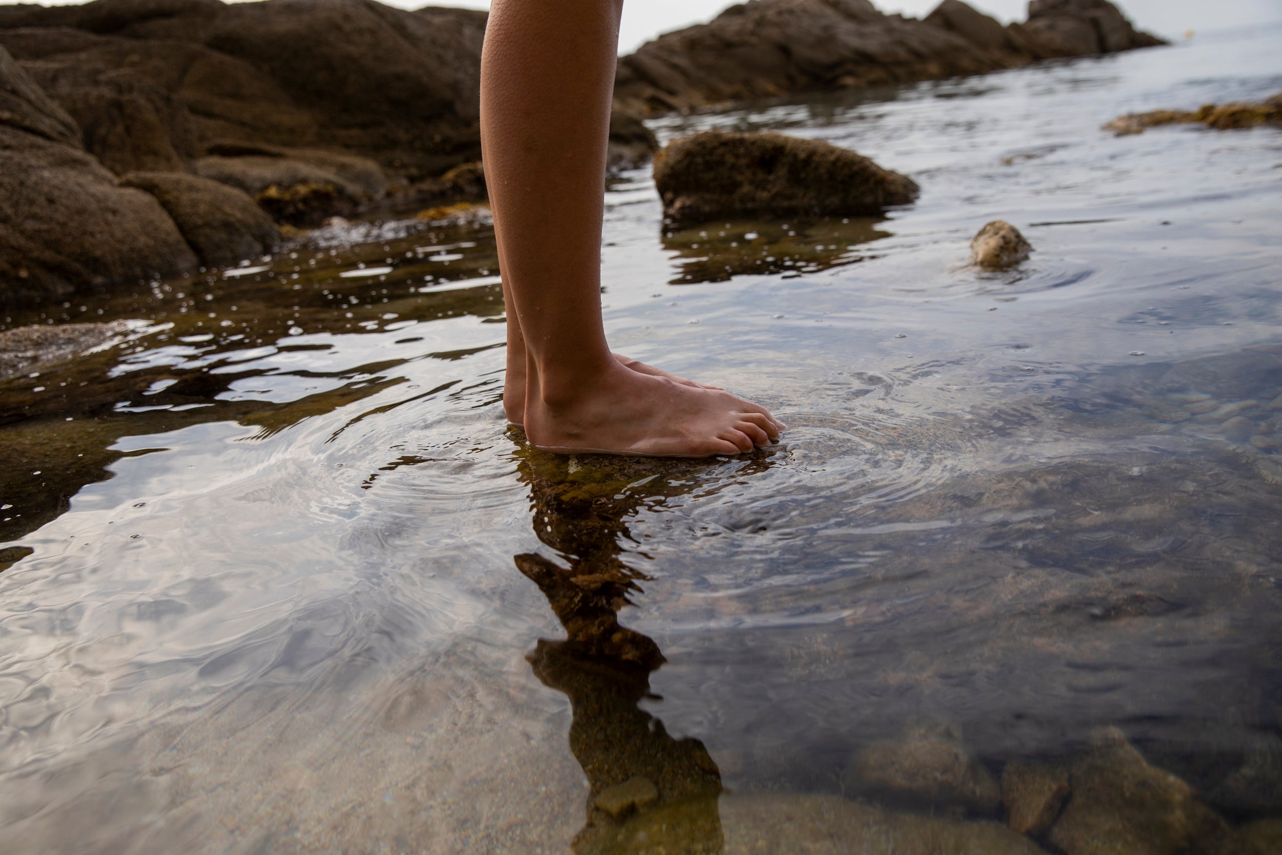 Protecting Our Planet II