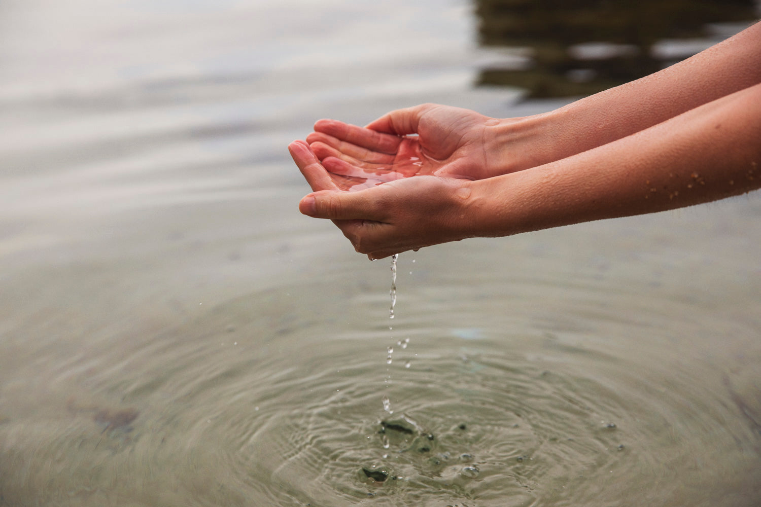 Protecting Our Planet