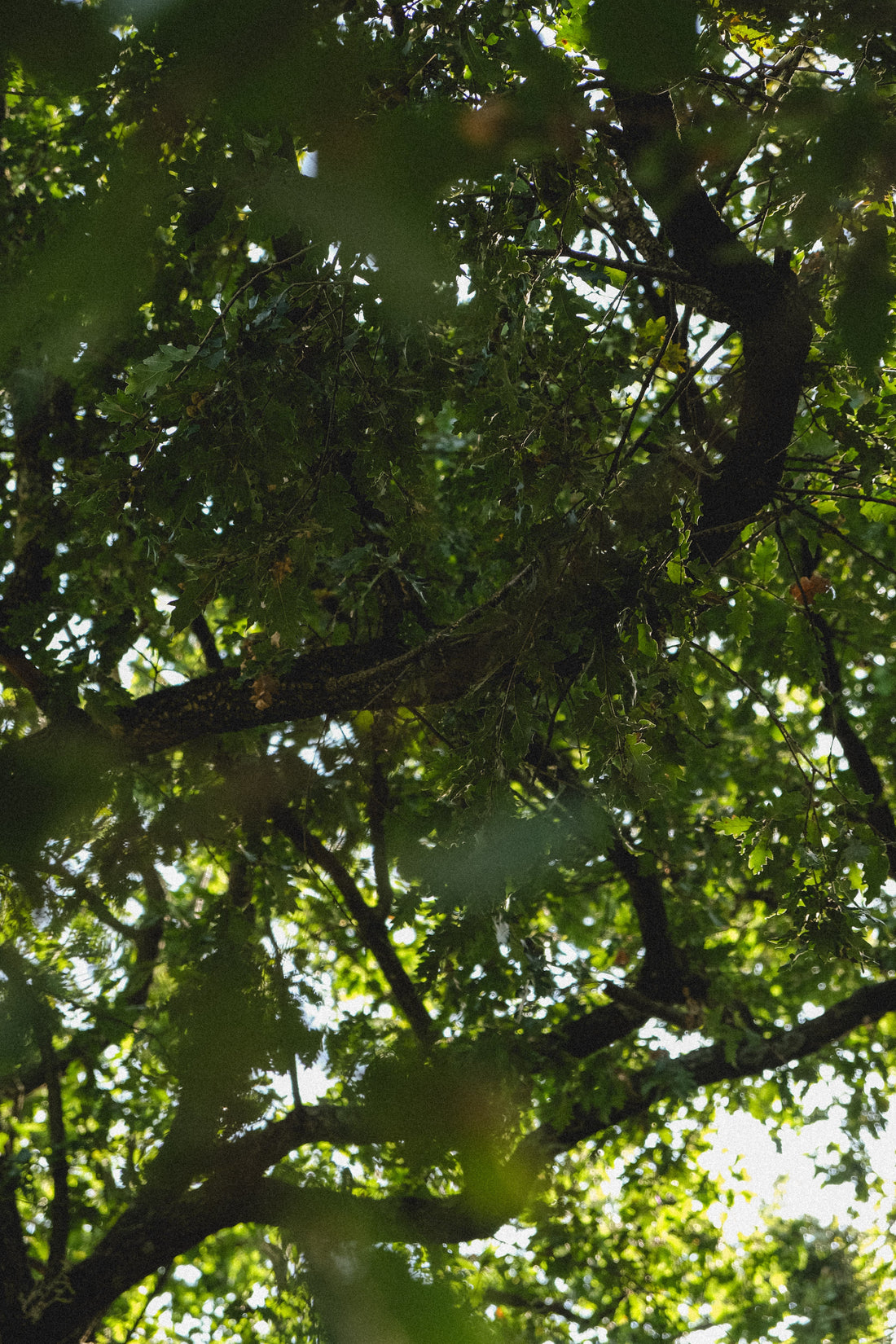 Let’s Talk About Greenwashing: What’s Really Behind “Natural” Beauty.