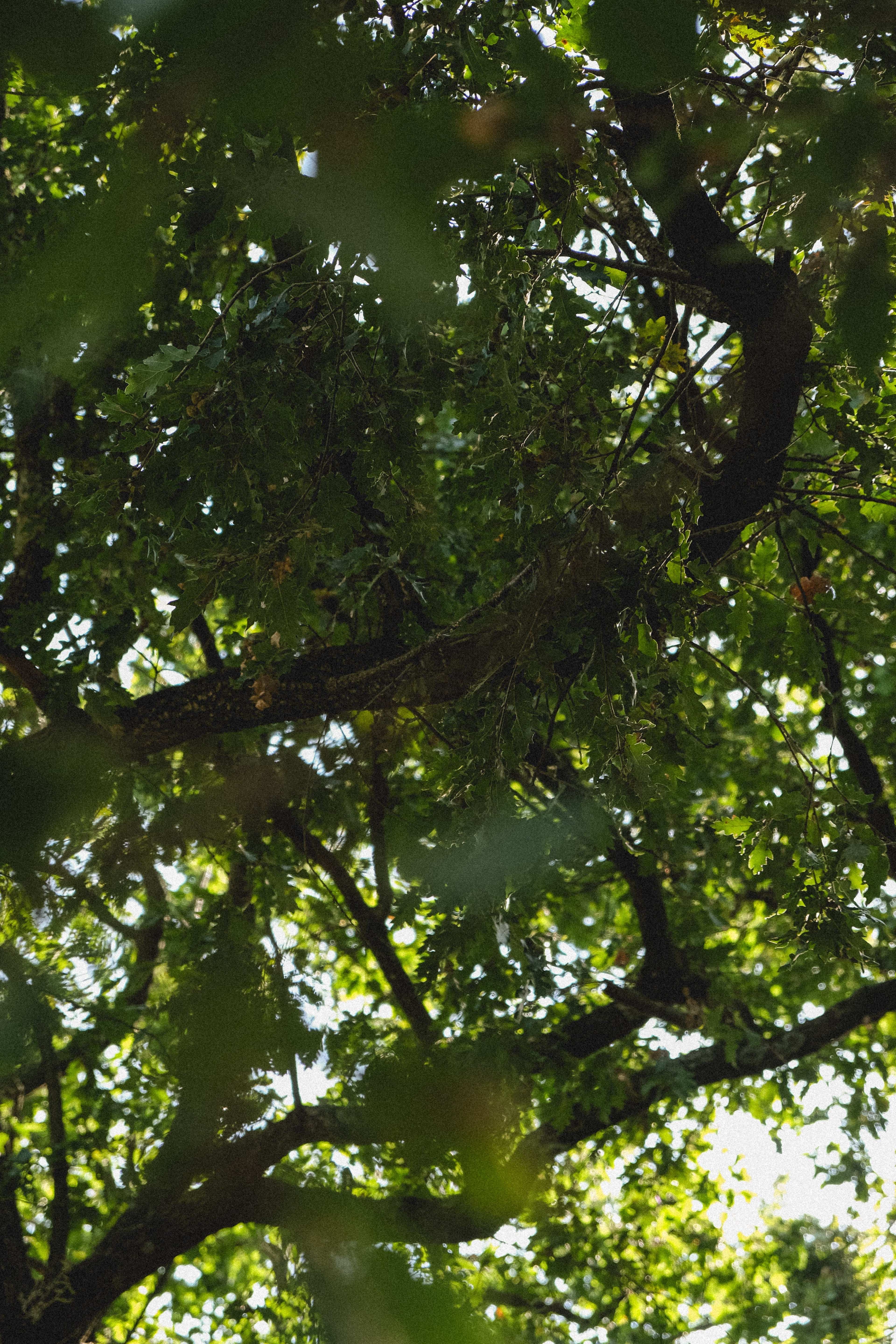 Let’s Talk About Greenwashing: What’s Really Behind “Natural” Beauty.