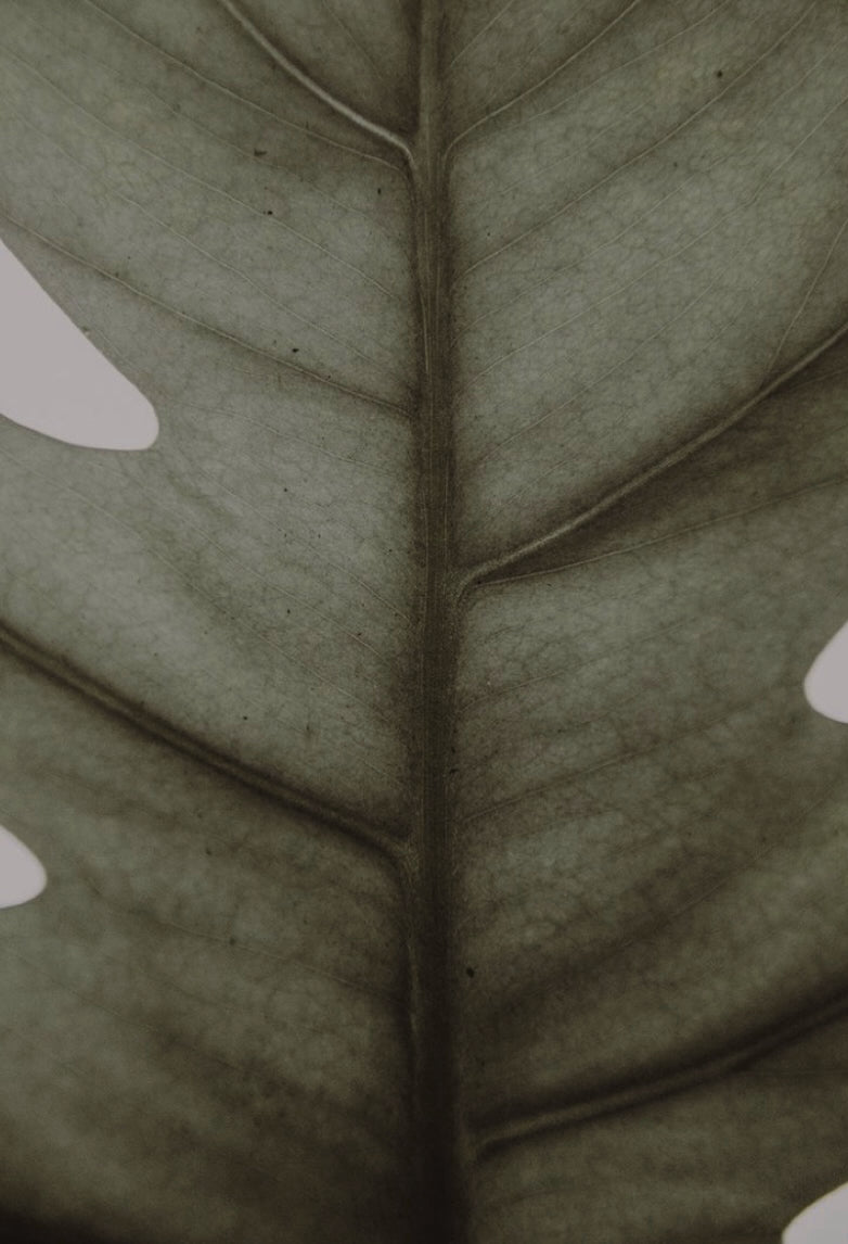 Benefits Of Vitamin E On The Skin