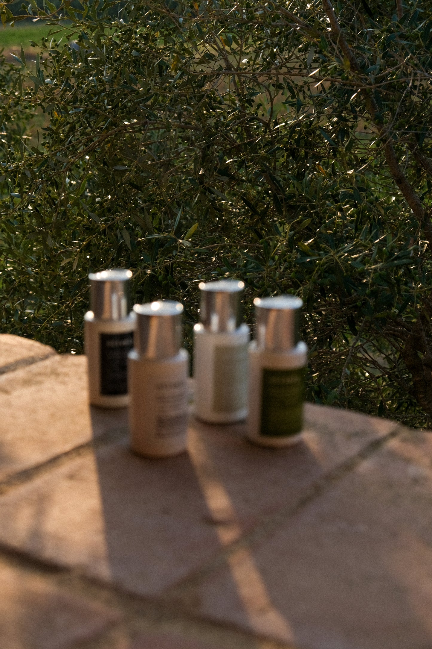 Travel Kit Pack – Mini 50 ml x4: Body Lotion, Gentle Soap, Conditioner & Shampoo