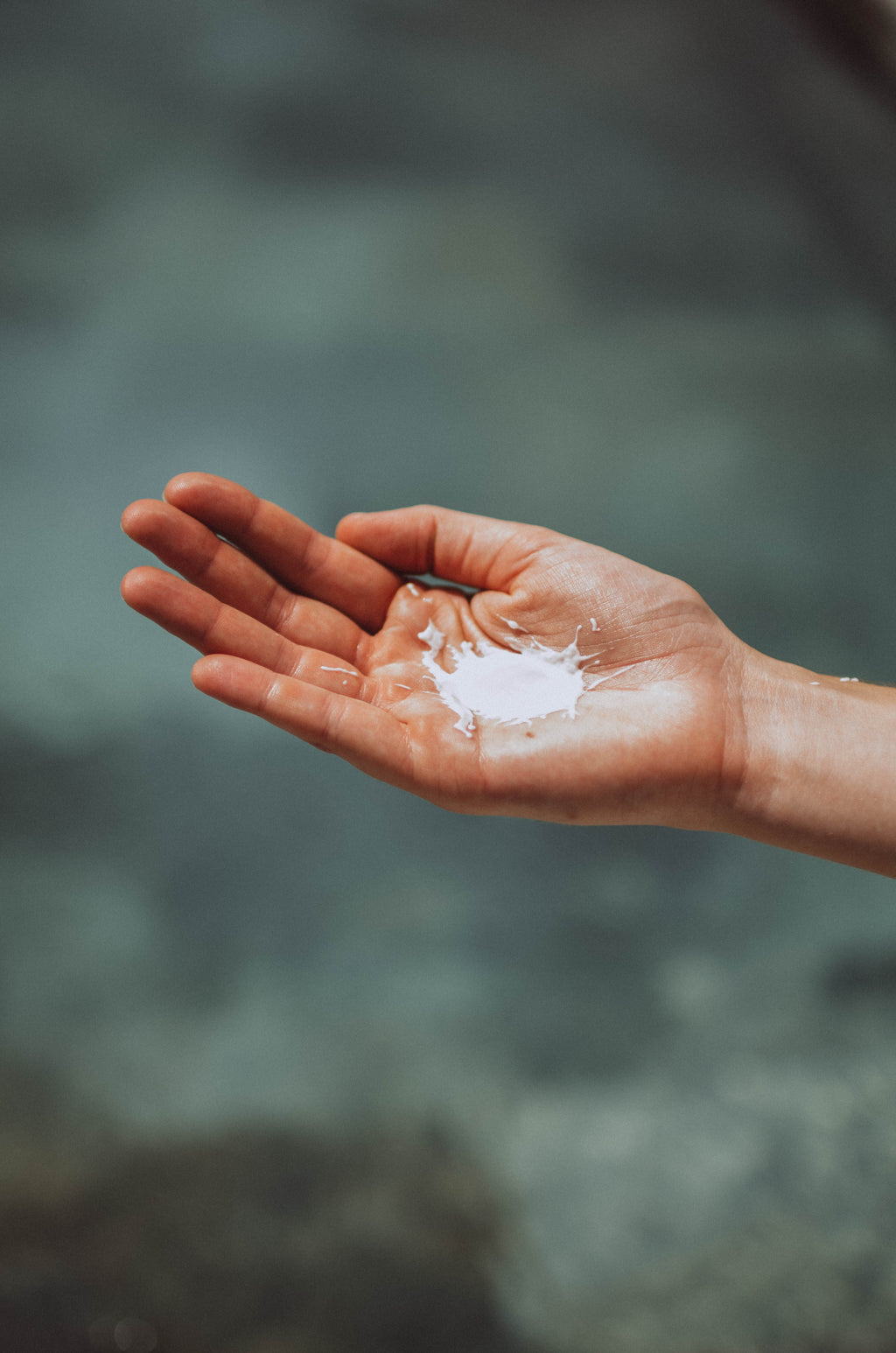 Body Lotion – Lightweight Botanical Hydration for Hands & Body