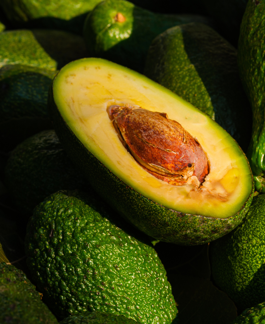 JOJOBA, SESAME & AVOCADO OILS