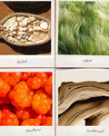 Workshop entry · Create your 100% Natural Perfume