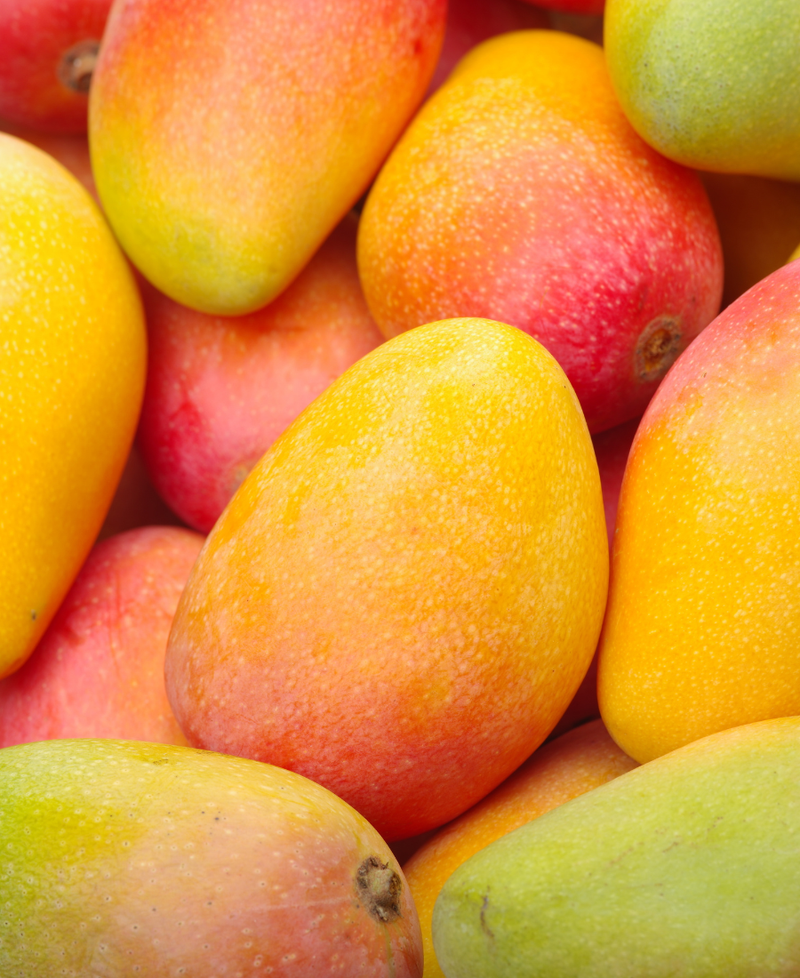 Manteca de Mango y Cacao