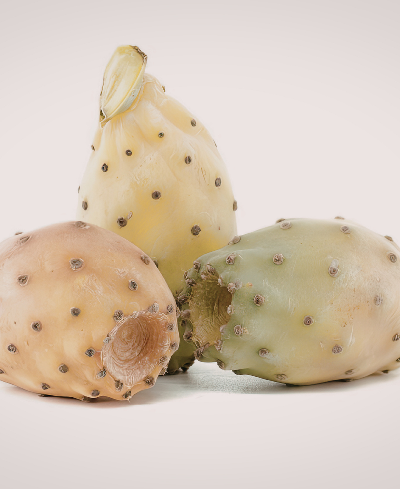 PRICKLY PEAR OIL